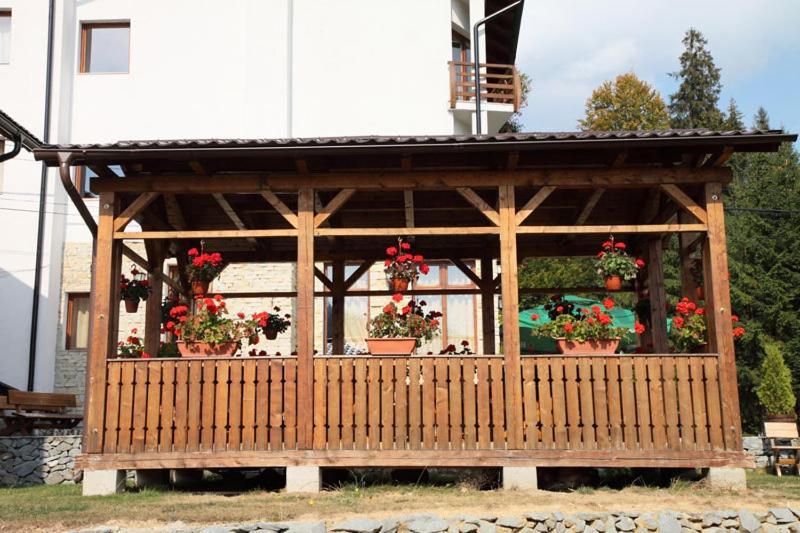 Pensiunea Vraja Muntelui Arieseni Exterior photo